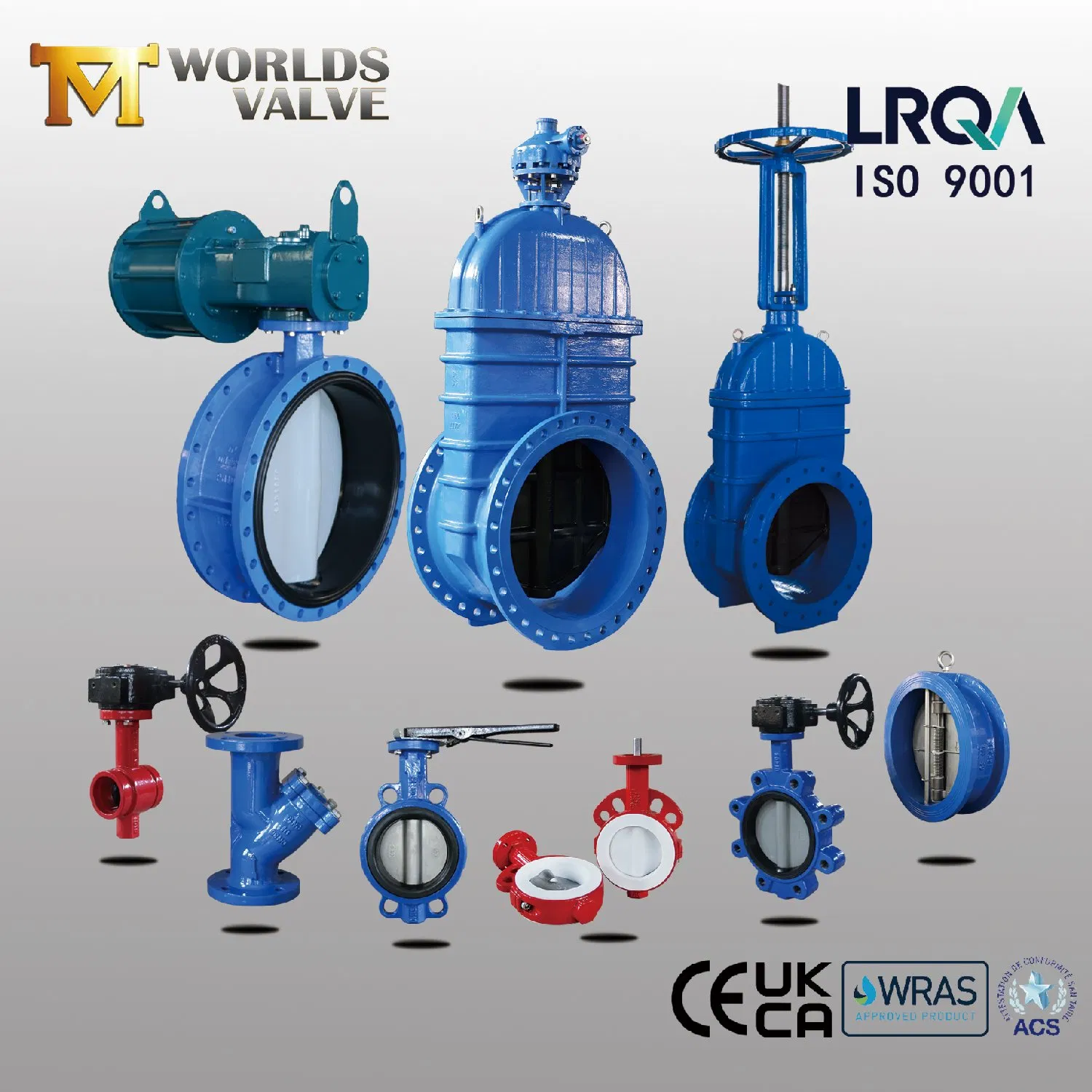 OEM ODM PTFE PFA Coaed Disc CF8 CF8m SS304 SS316 Wcb Bronze ANSI DIN JIS BS Standard Control Butterfly Valve Gate Valve Check Valve Y Strainer