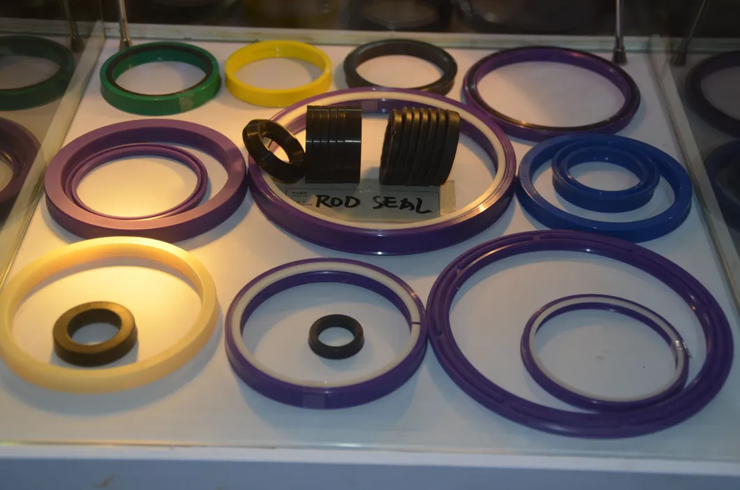 Excavator Seal Kit 5