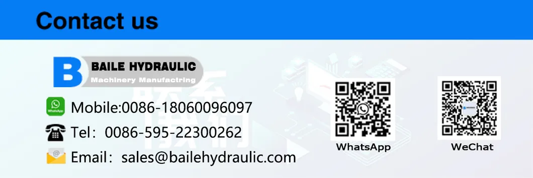 Hydraulic Final Drive Travel Motor