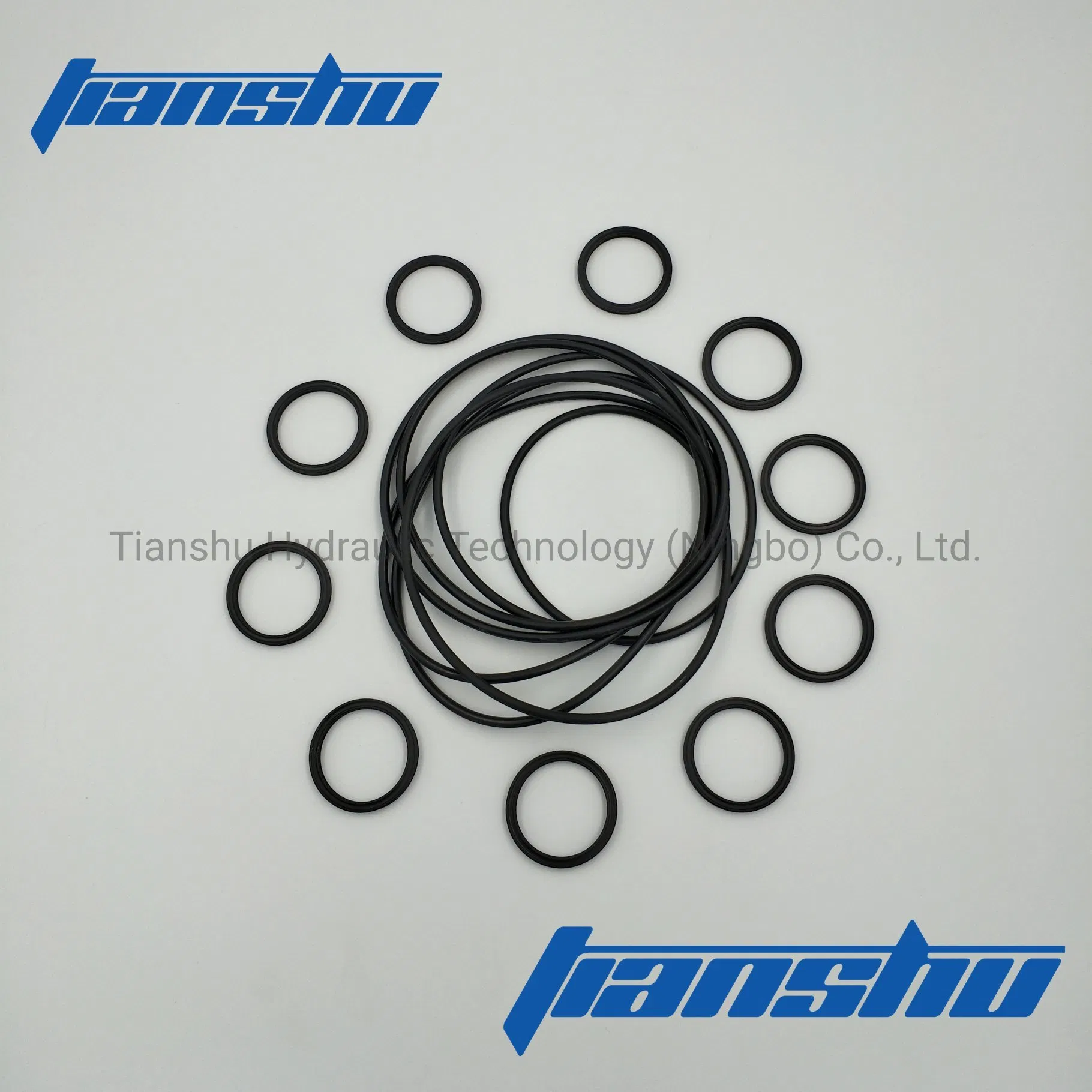 Replacement O Ring Seal Kit for Hagglunds Hydraulic Motor