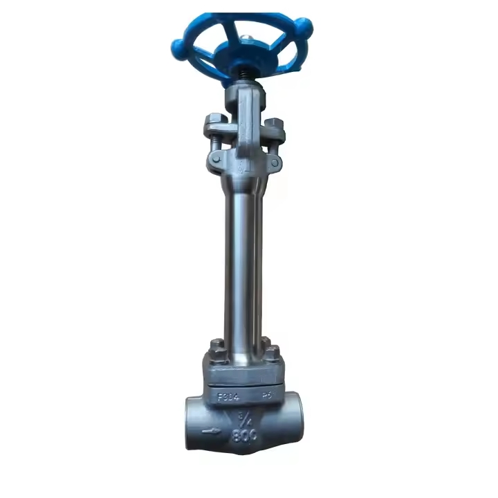 Cryogenic Globe Valve OEM Low Temperature Long Stem Stop Valve Gas Control Stainless Steel Welding Valve