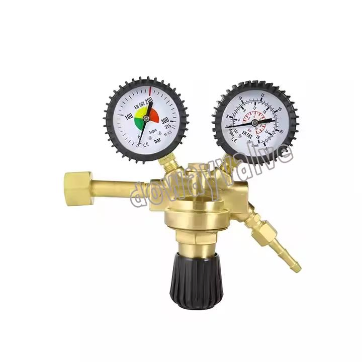 Customized Dual Stage 2 Gauges High Pressure Argon Pressure Regulator China Supplier