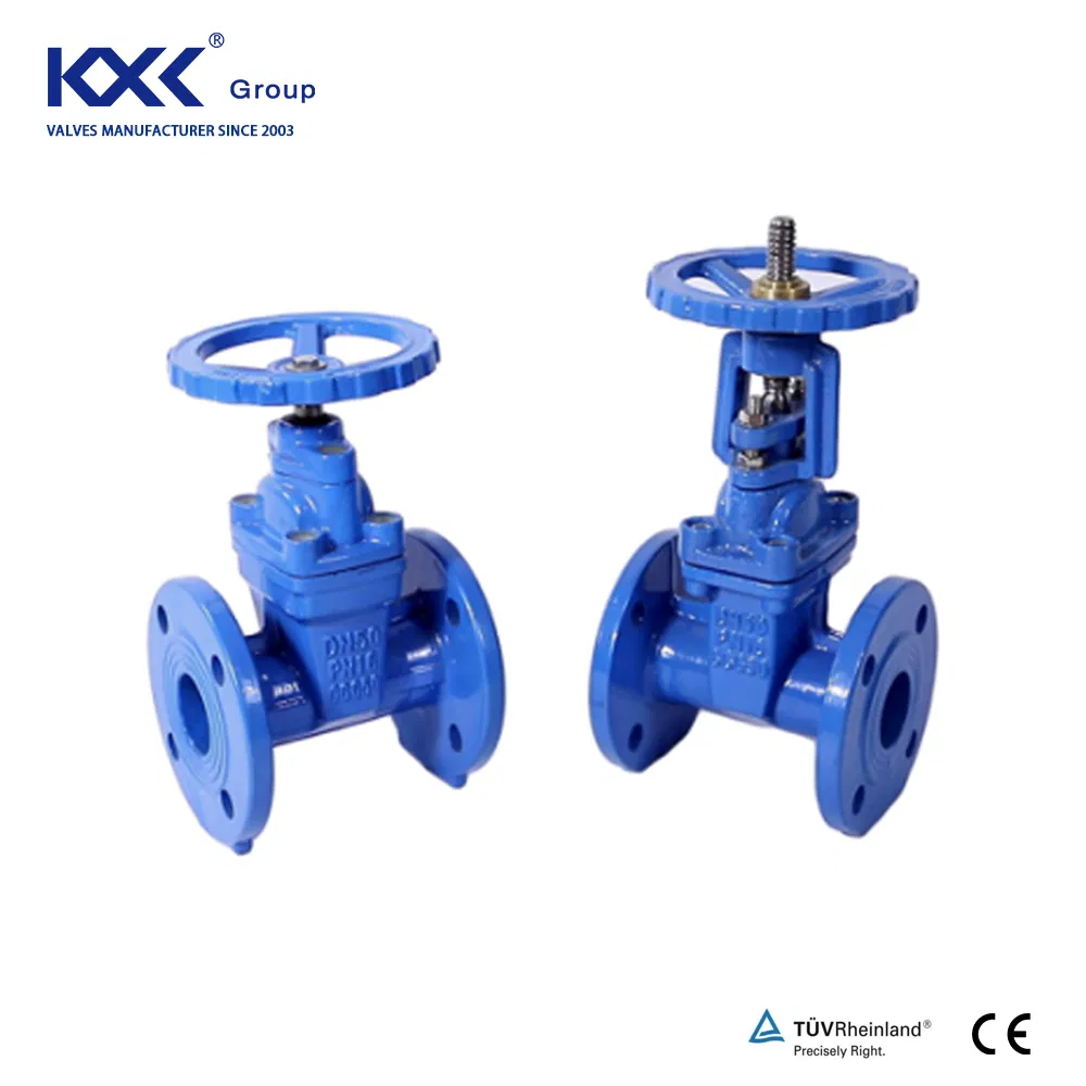 DIN BS ANSI Flange DN50-600 DIN3202 BS5163 F4 Gate Valve Brass Bonnet Di Body Resilient Seat Check Valve/Control Valve/Water Valve/Gate Valve