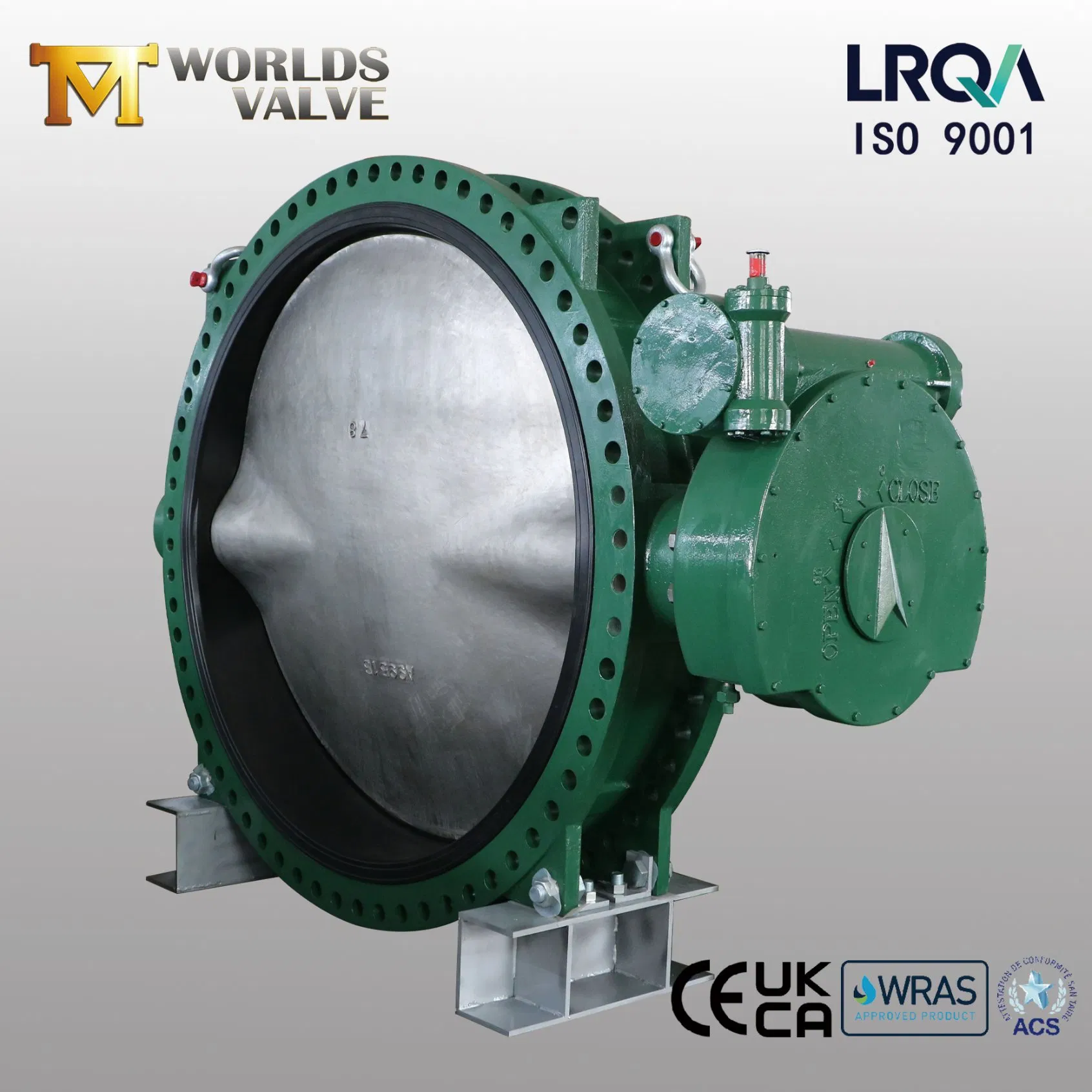 OEM ODM PTFE PFA Coaed Disc CF8 CF8m SS304 SS316 Wcb Bronze ANSI DIN JIS BS Standard Control Butterfly Valve Gate Valve Check Valve Y Strainer