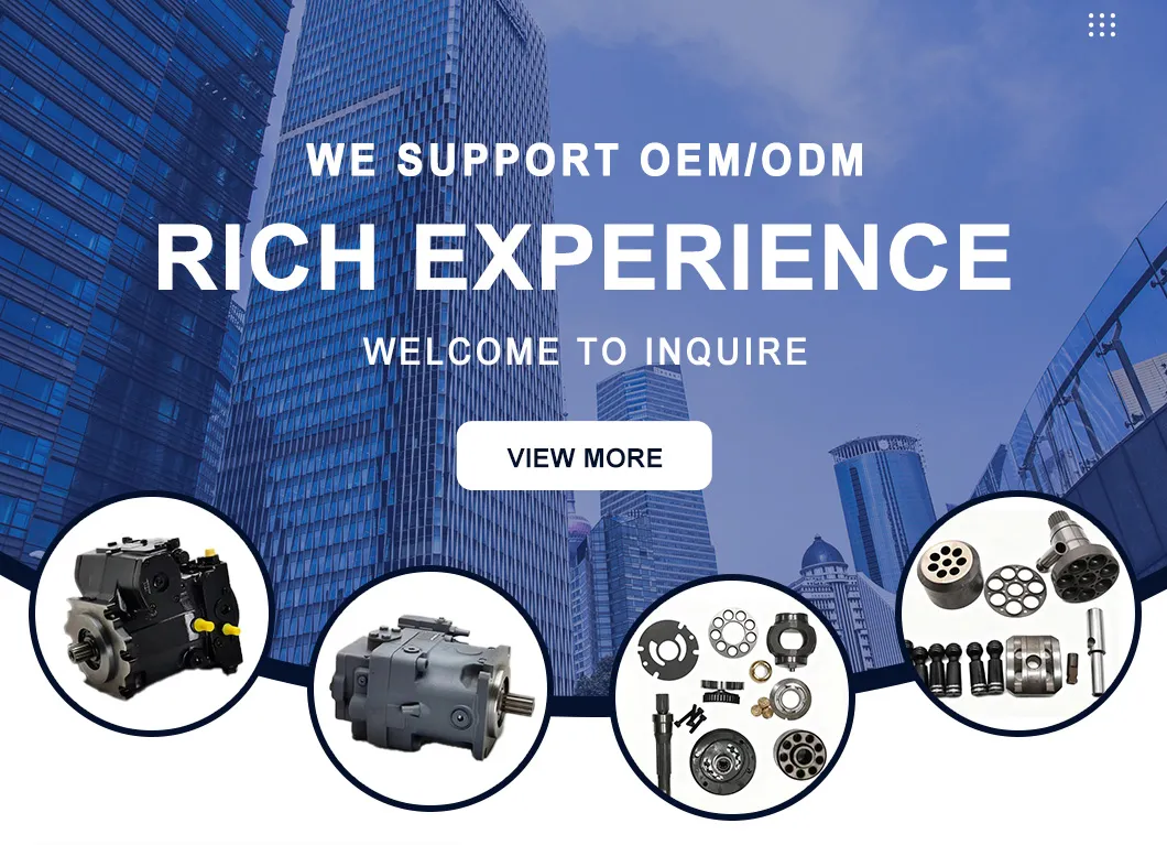 Hydraulic Pump Parts A4vg Repair Kit