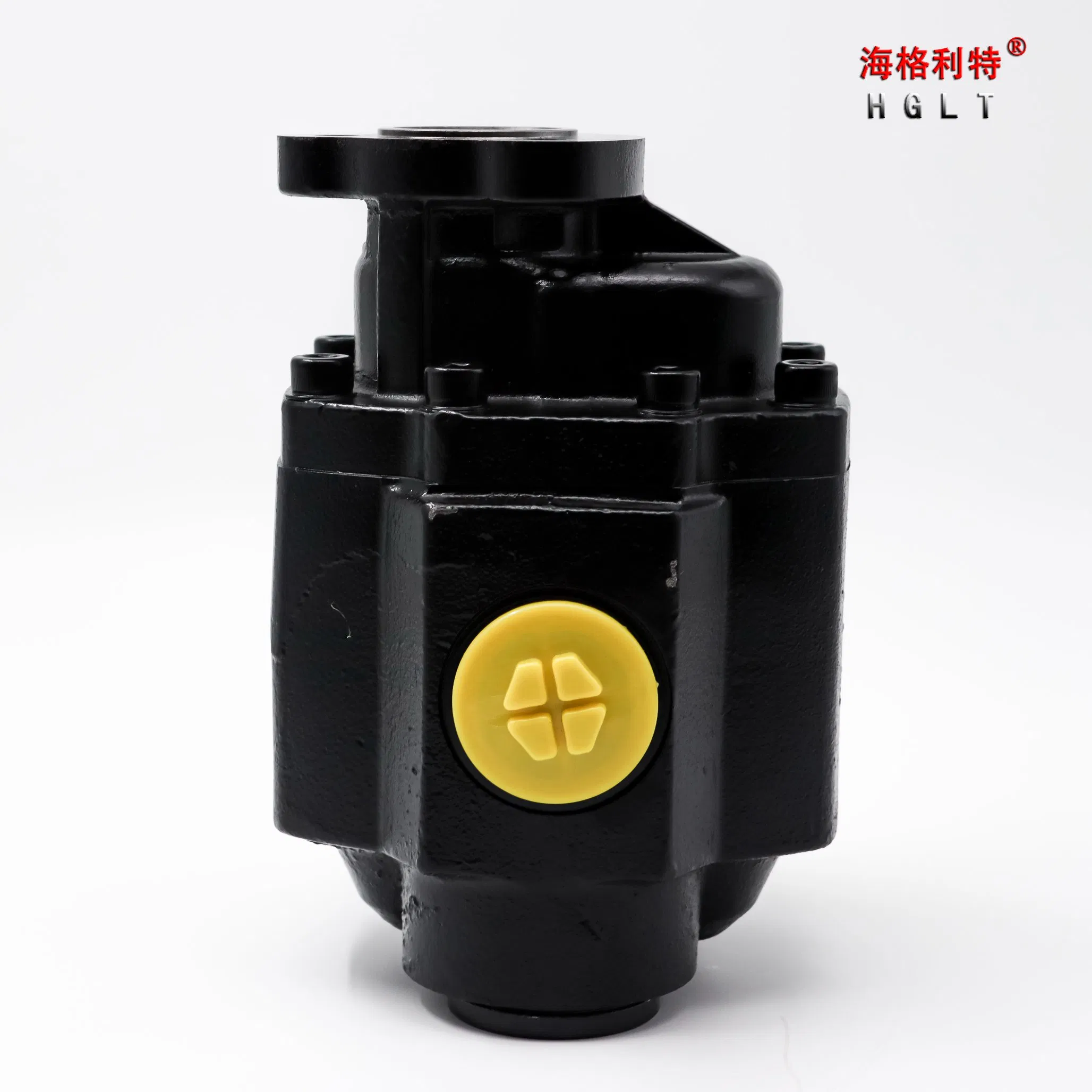 High Pressure Bi-Direction Steel Hydraulic Gear Pump for Tipper