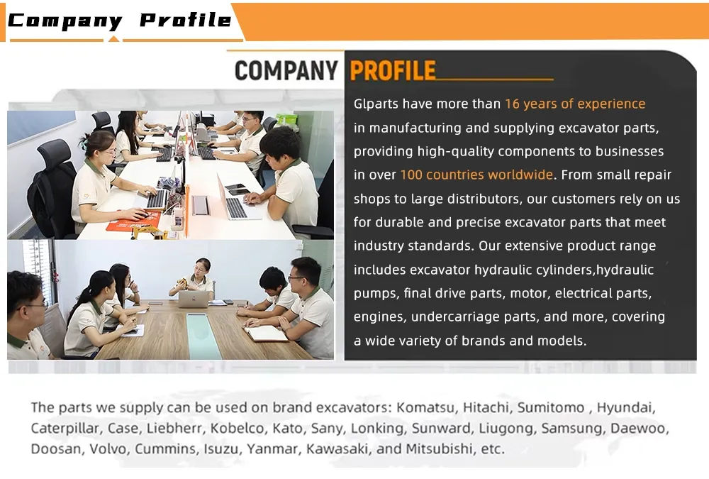 Hydraulic Swing Motor Details