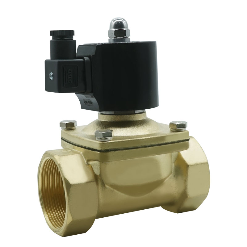 2W Series Normally Closed Waterproof 2-Way Direct Acting Solenoid Control Valve for Liquids AC220V DC12V DC24V