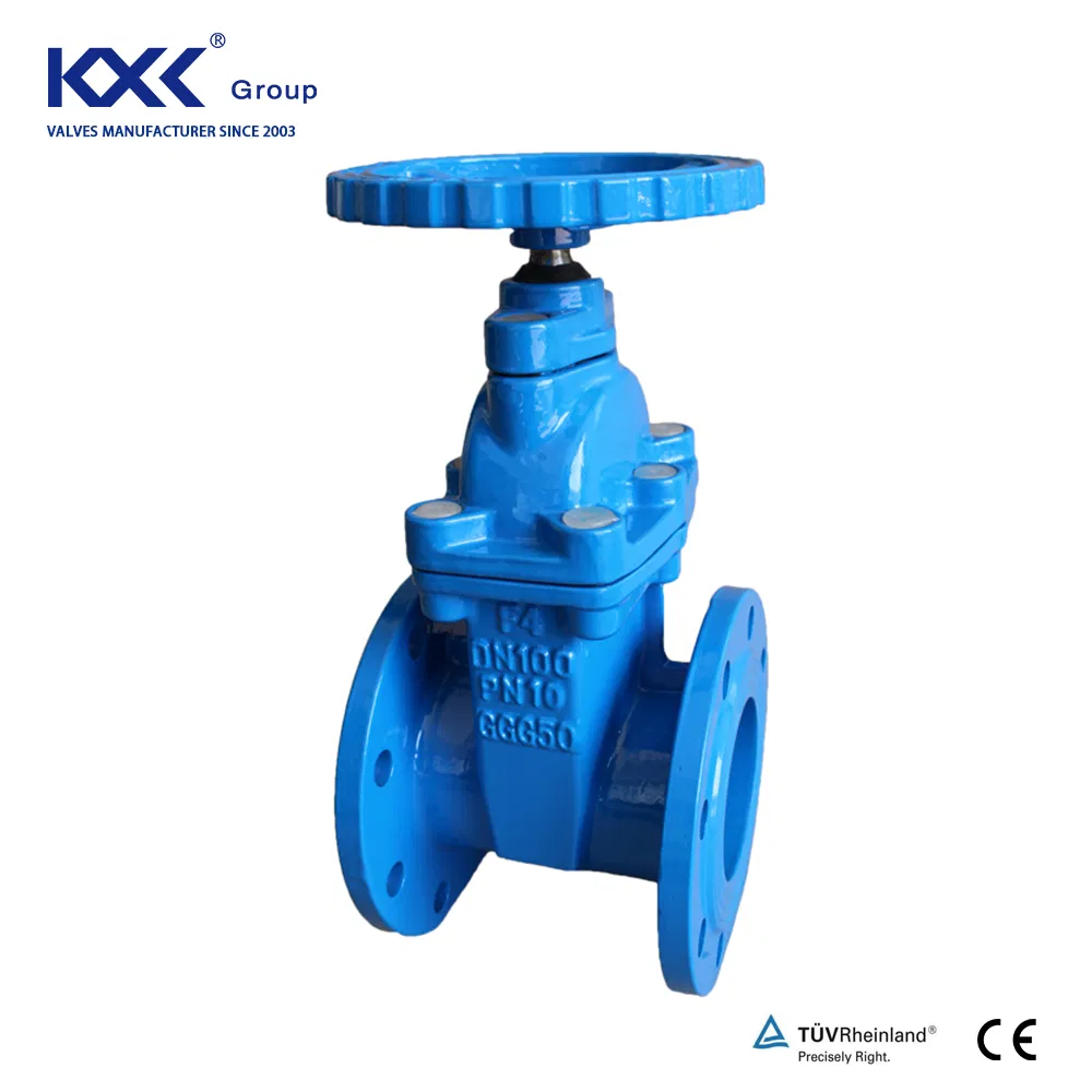 DIN BS ANSI Flange DN50-600 DIN3202 BS5163 F4 Gate Valve Brass Bonnet Di Body Resilient Seat Check Valve/Control Valve/Water Valve/Gate Valve