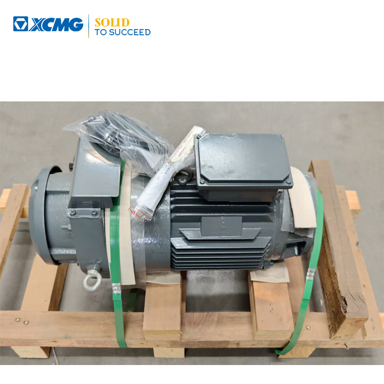 XCMG Official Mini Crane Electric Motor Ytrvf 132s4-4f2/D/B3bm1 Tower Crane Electric Swing Motor for Construction Machinery Spare Parts