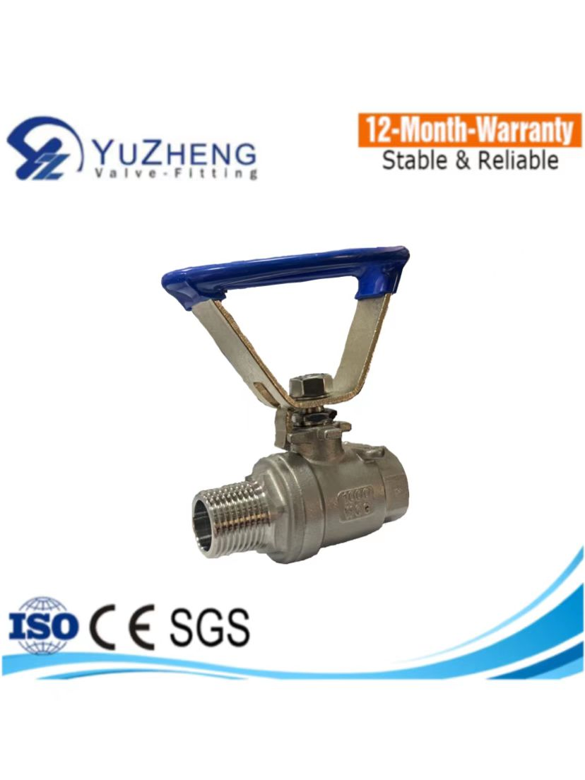 CE/ISO Stainless Steel 304/316/CF8/CF8m BSPT/BSPP/NPT Hydraulic Industrial Float Control 2PC Ball Valve with Oval Handle