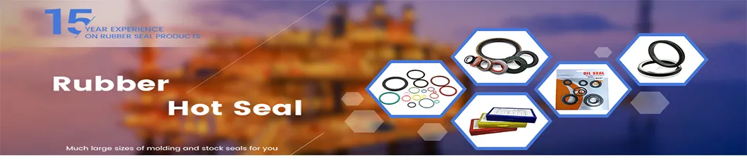 Hydraulic Cylinder Oil Seal Kit Header