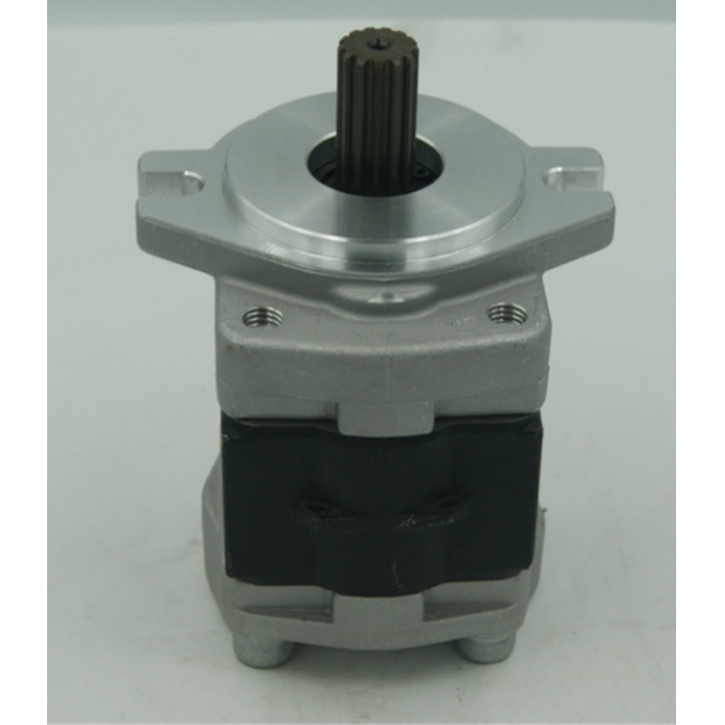 Forklift Pump Sgp Series Sgp2 Sgp2a Sgp1a Sgp1a34r Sgp1a32r Sgp1a23r Hydraulic External Gear Pump Sgp1a32D2h1 Sgp2a52L723 High Pressure Hydralic Pump Crancranes