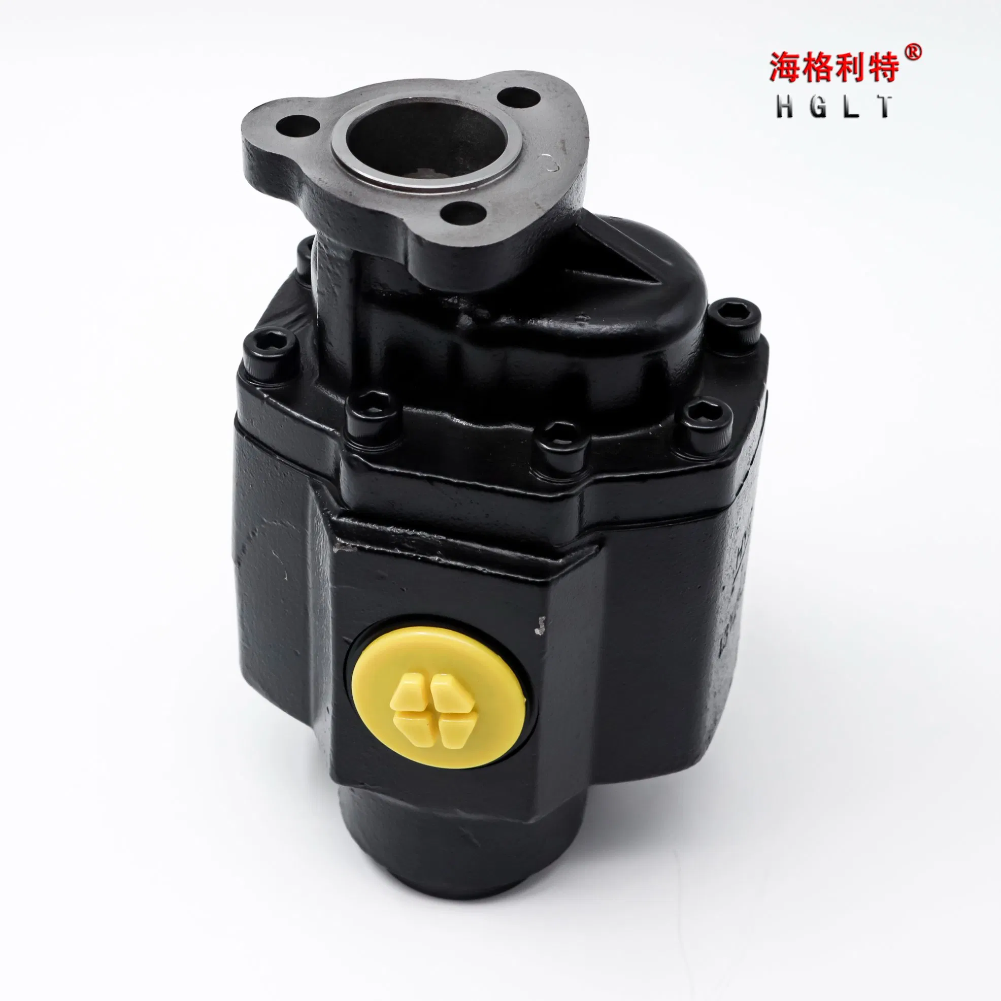 High Pressure Bi-Direction Steel Hydraulic Gear Pump for Tipper