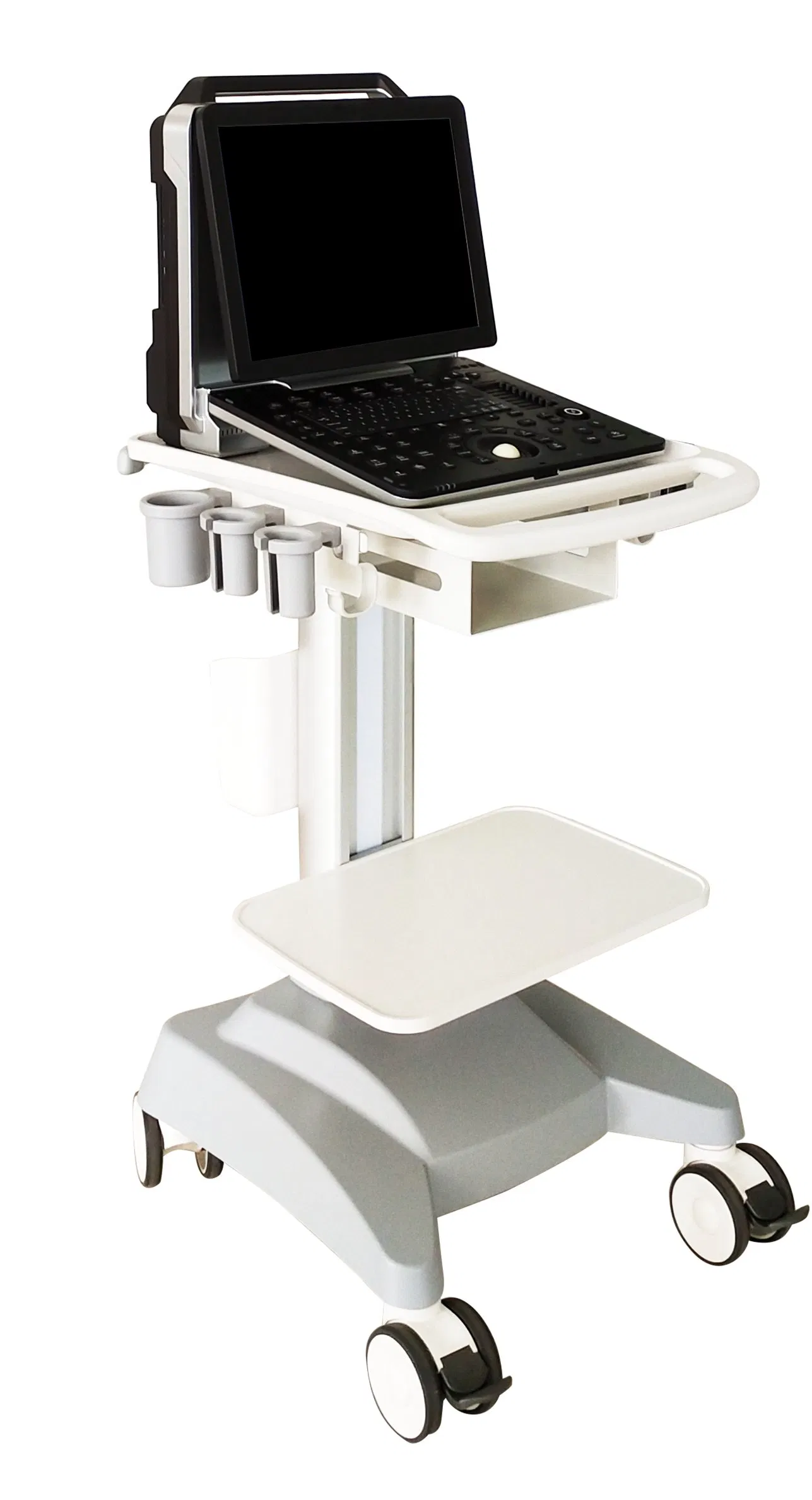 Ltub59 Sistema de Ultrasonido Doppler Color Cardíaco Portátil de Alta Gama para Hospital