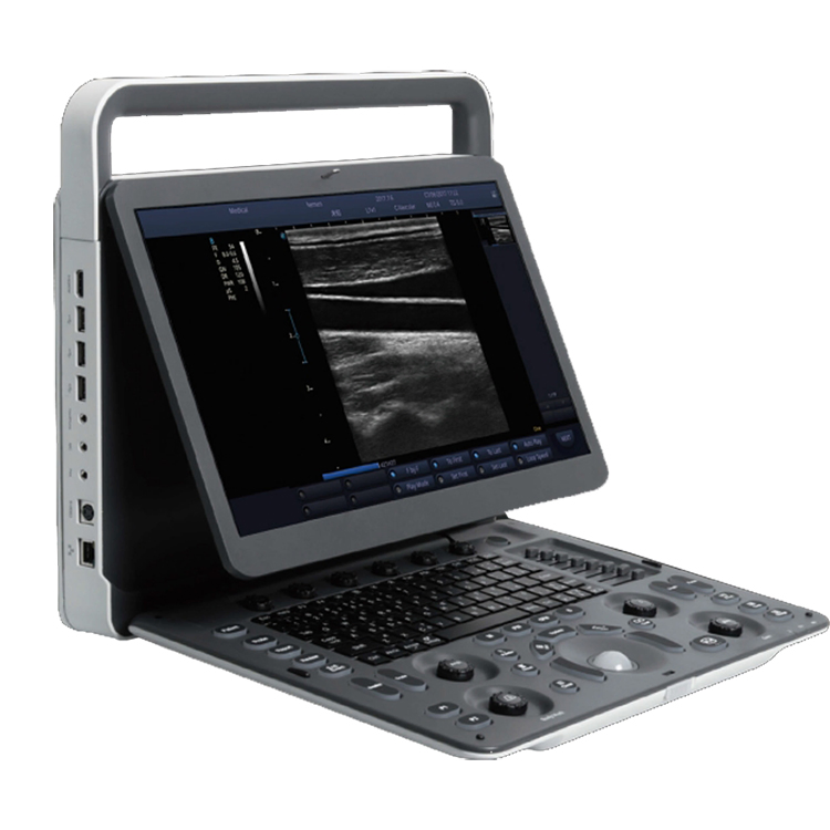 Máquina de Sonografía Portátil Sonografía Ecografía Escala USG Ultrasonido Veterinario Ultra