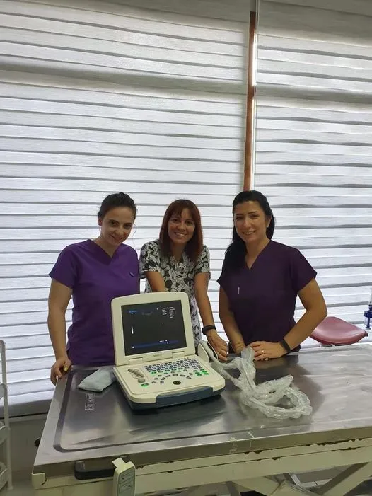 Servicio 4