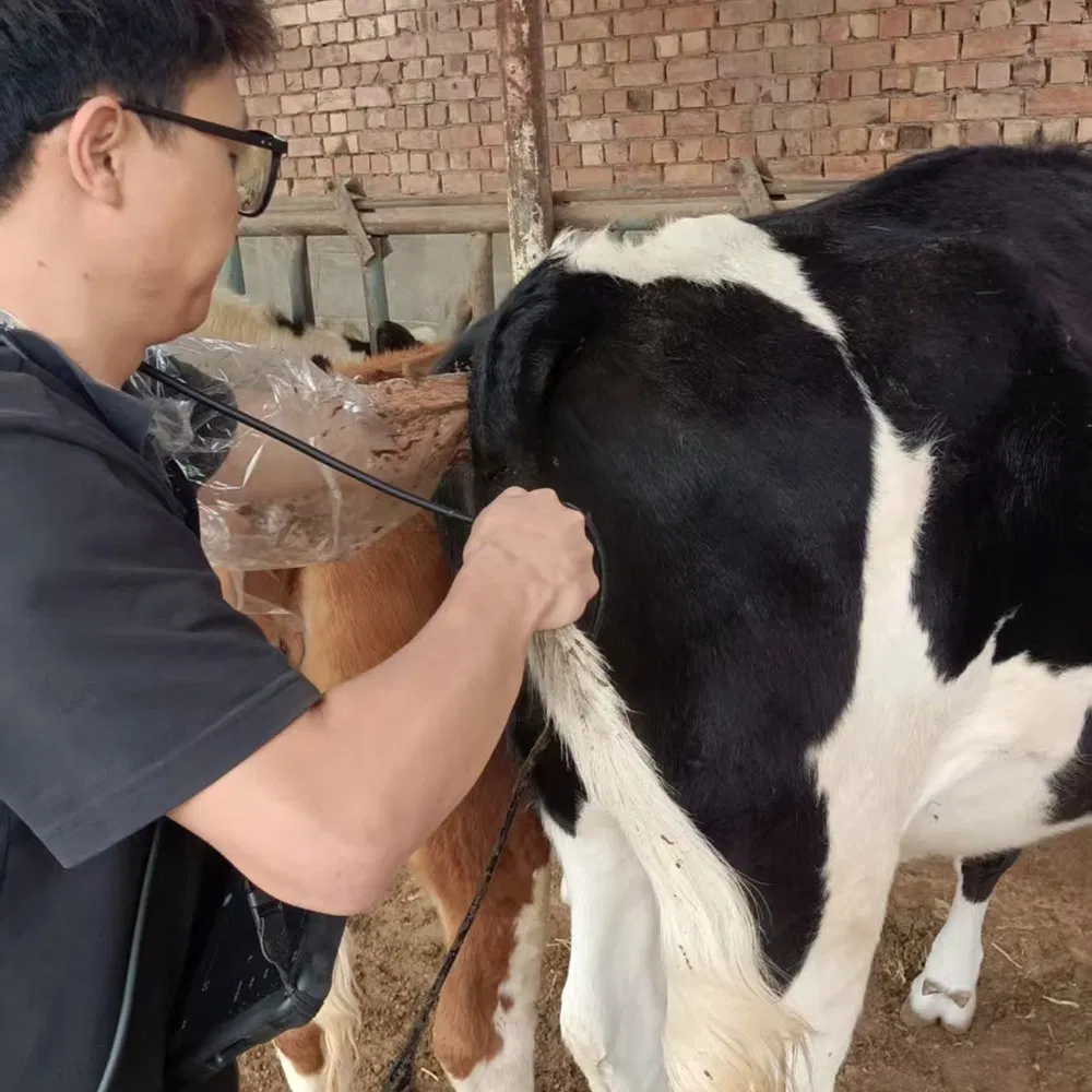 Bxl-S200 Máquina de Doppler Vascular Portátil Inalámbrica Máquina de Ultrasonido Portátil