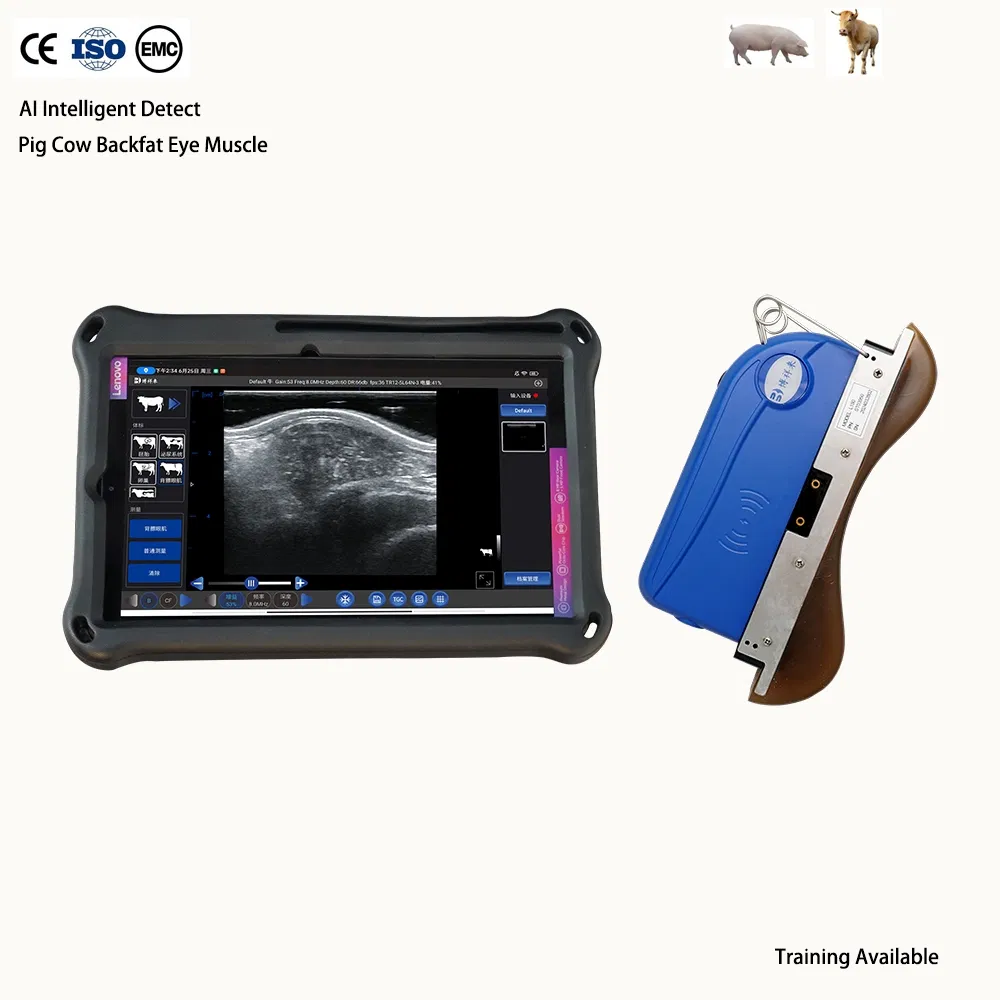 Bxl-S305 Escáner Ultrasónico Doppler Inalámbrico para Animales Detección Ai Mejor Máquina de Ultrasonido Veterinario para Cerdo Bovina Grasa de Espalda CE ISO