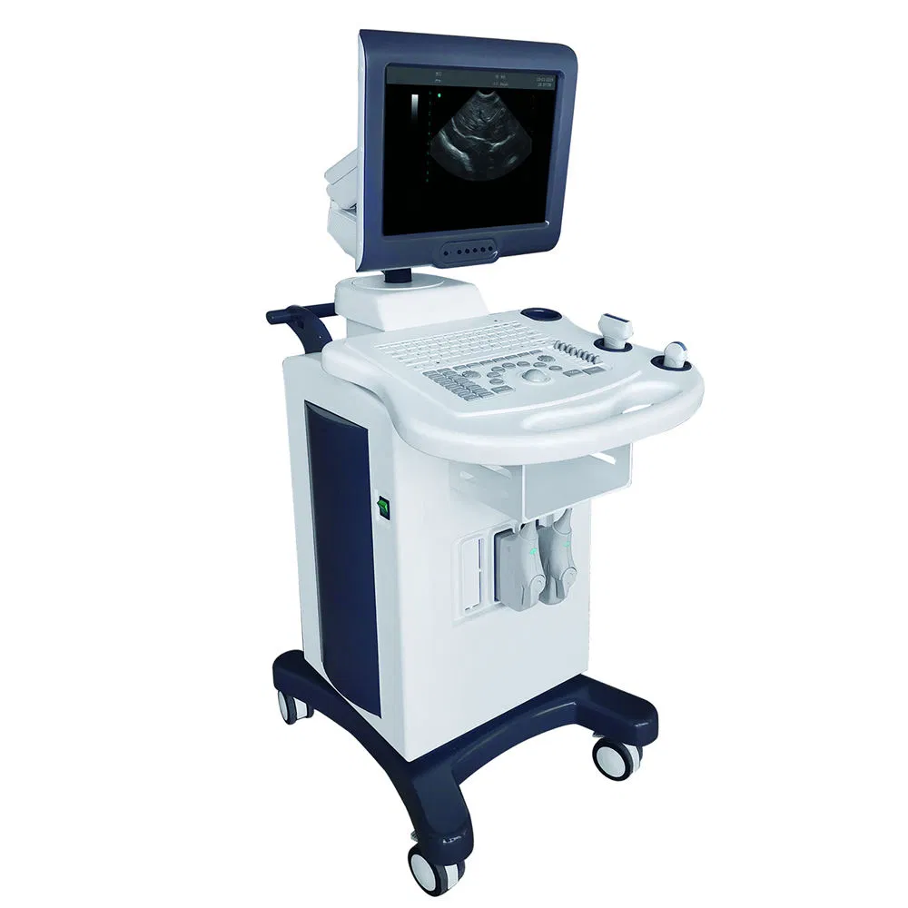 Máquina de ultrasonido digital portátil para diagnóstico veterinario y humano con pantalla a color