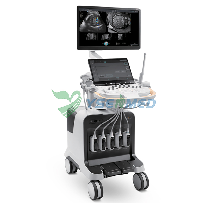 Sistema de Ultrasonido Doppler Color de Hospital Médico P80