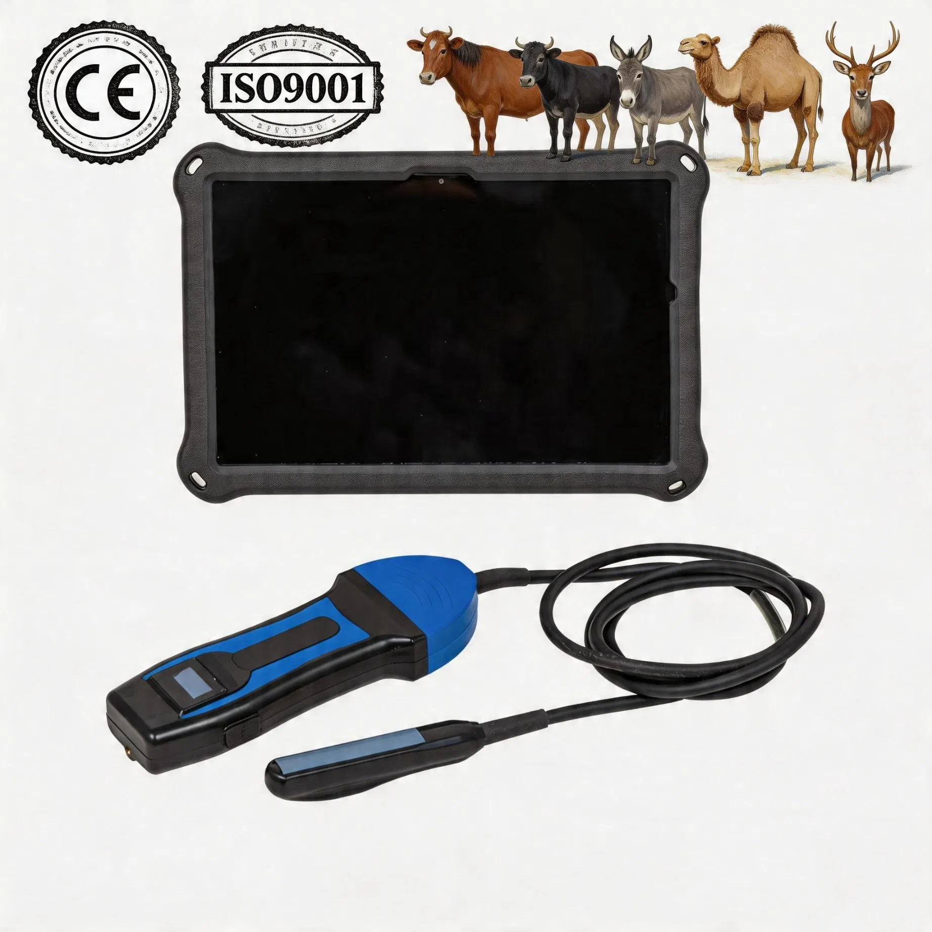 Bxl-S200 Máquina de ultrasonido veterinario terapéutico portátil para ganado, caballos, burros y ganado para diagnóstico de embarazo
