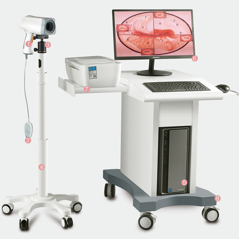 DC-N3 Mindray 4D Máquina de Ultrasonido Sistema de Imágenes Generales Ob/Gyn
