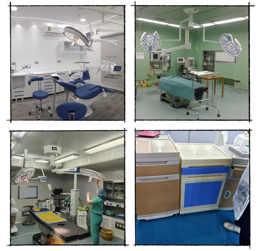 Equipo Veterinario de Animales Máquina de Ultrasonido para Embarazo