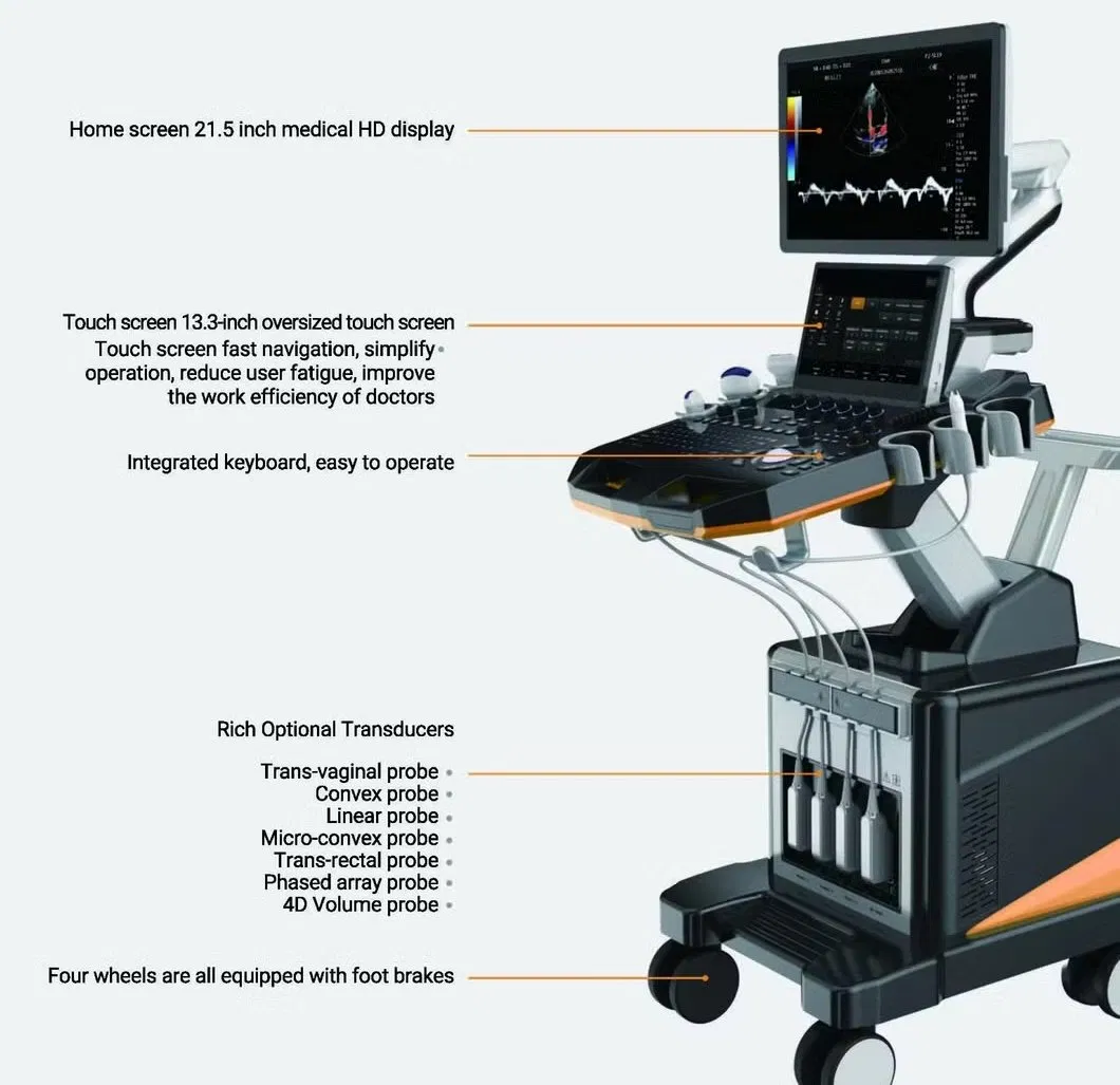Sistema de Ultrasonido Avanzado 3D/4D con Doppler Color - Máquina de Imágenes Médicas