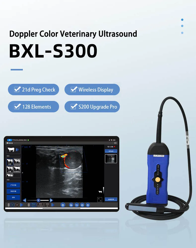 Sistema de Ultrasonido BXL-S300