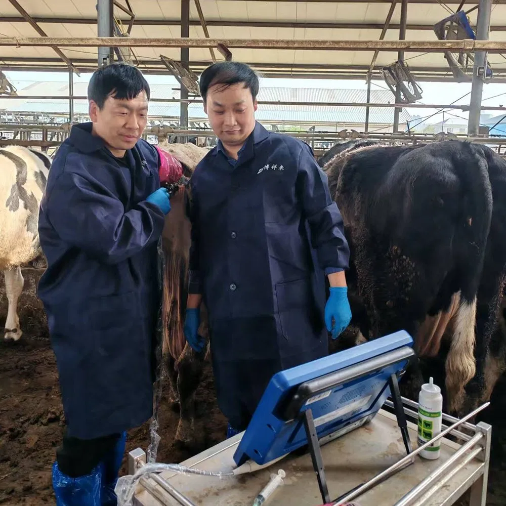 Bxl-Db20 Sistema de Ultrasonido Doppler Color Ecuestre para Transferencia de Embriones de Caballo