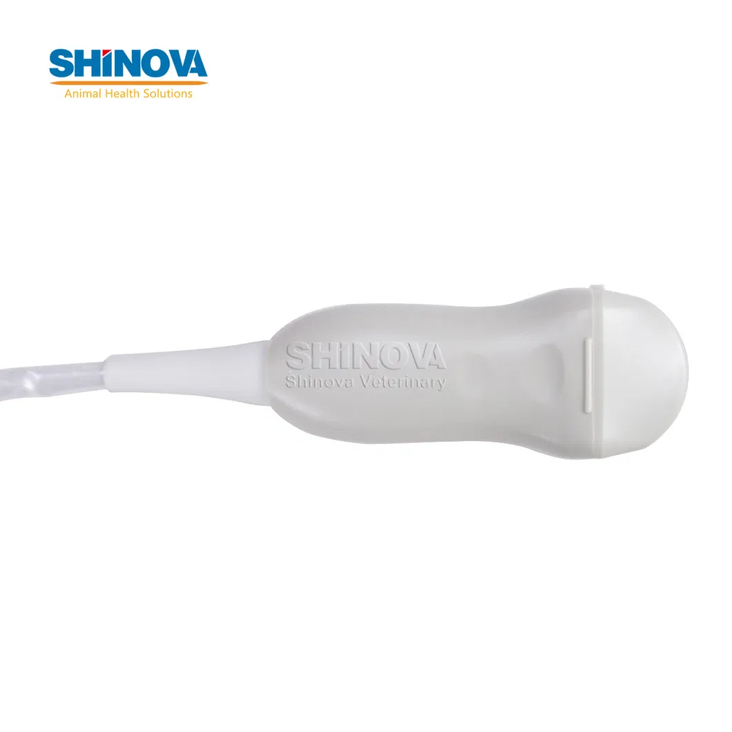 SonoScan E6V Detail 3