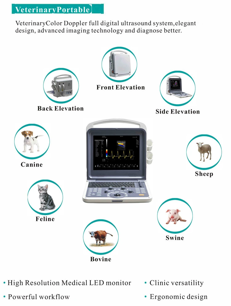 My-A035b Máquina de ultrasonido portátil Doppler color veterinario de productos médicos