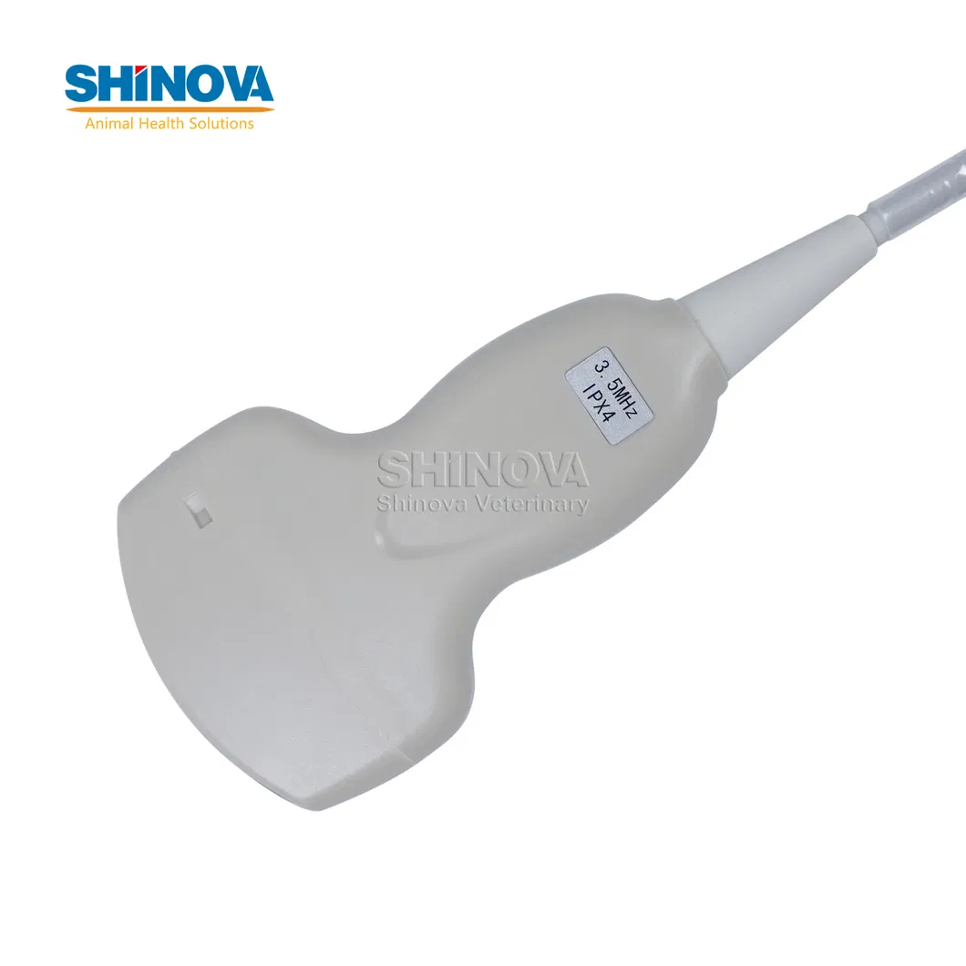 SonoScan E6V Detail 1