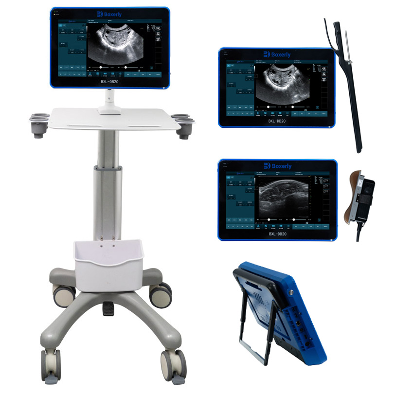 Bxl-Db20 Transferencia de embriones de yegua ultrasonido sistema de ultrasonido Doppler veterinario para caballos