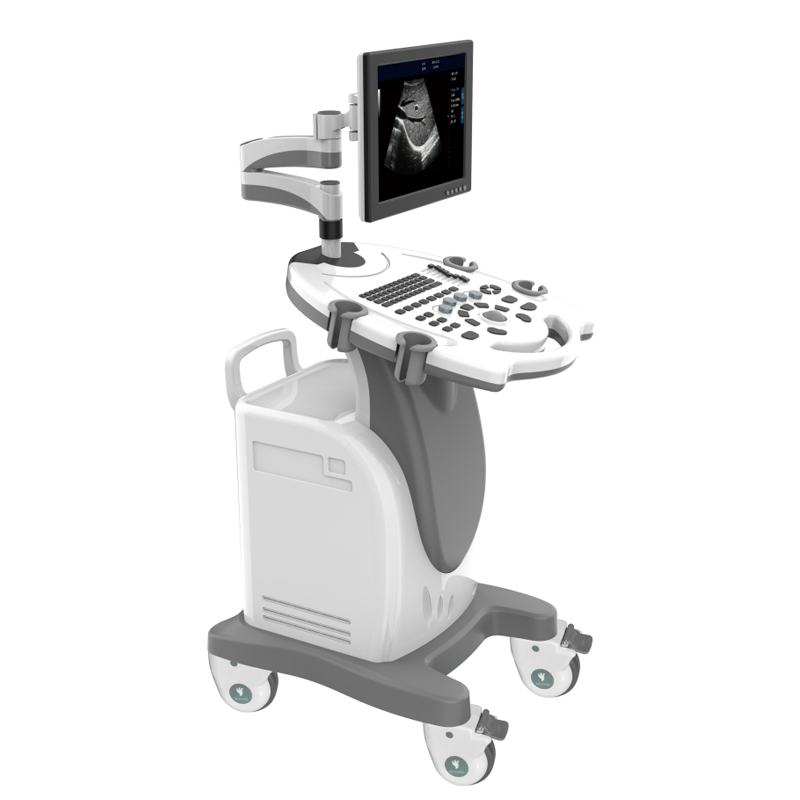 Equipo de diagnóstico por imagen de escáner CE, ISO máquina canina portátil de ultrasonido Doppler