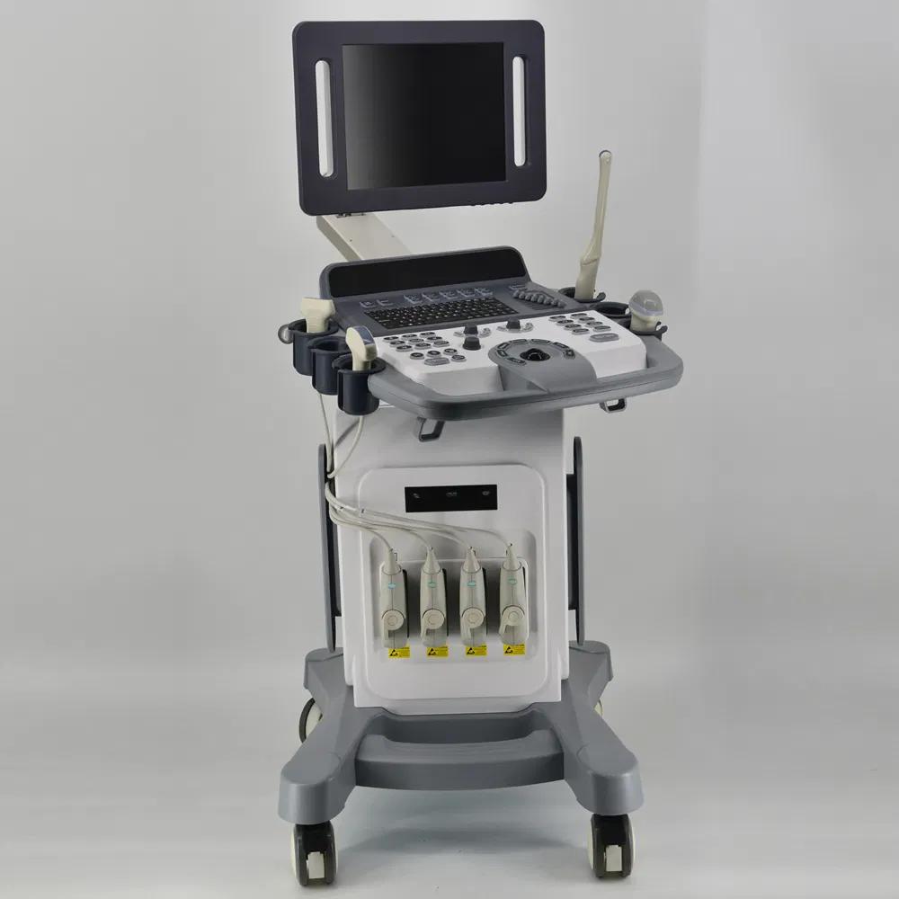 Precio de fábrica al por mayor Sistema de ultrasonido diagnóstico Doppler color Cw en varios idiomas 4D
