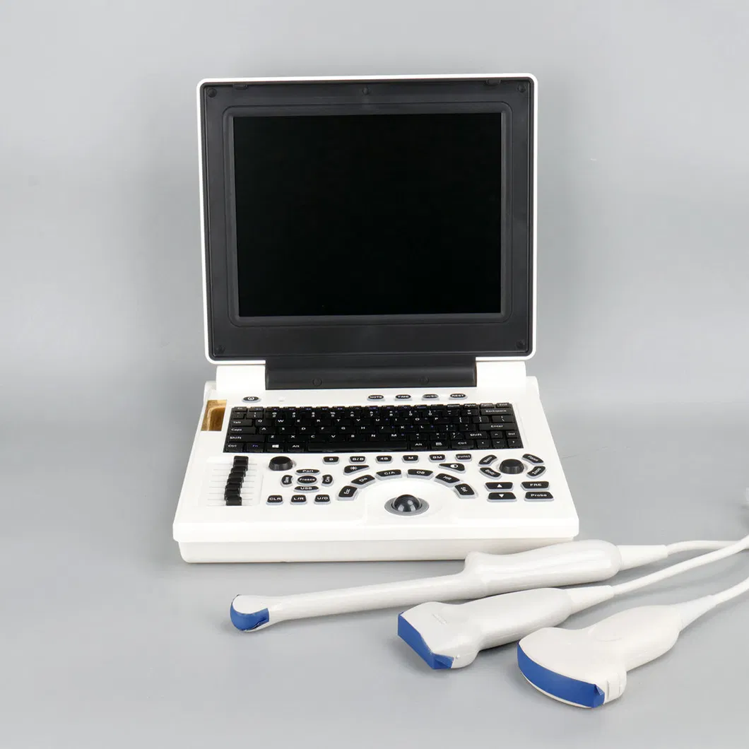 Diseño tipo notebook