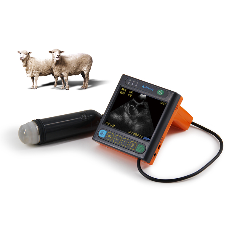 Instrumentos de ultrasonido médico veterinario para ganado, escaneo rápido de diagnóstico para caballos, cerdos, vacas, cabras y ovejas. Máquina de ultrasonido portátil