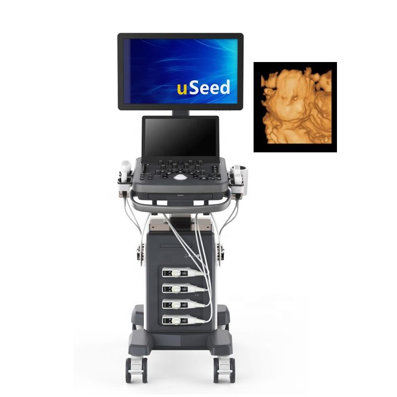 Sistema de Ultrasonido Doppler Color Digital Completo con 5 Puertos