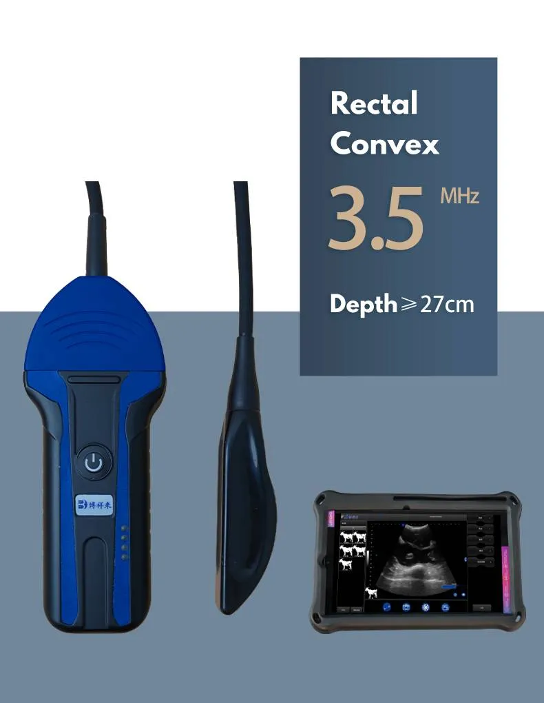 Especificaciones Ultrasonido