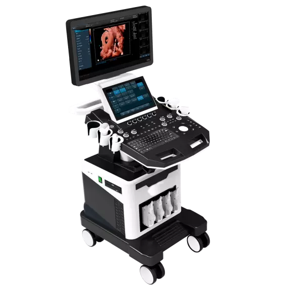 Instrumentos médicos profesionales de ultrasonidos con aprobación CE e ISO 3D 4D 5D máquina de ultrasonido Doppler color Trolley