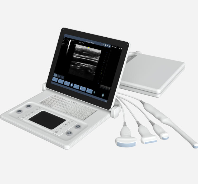 Máquina de ultrasonido portátil veterinaria inalámbrica 3D 4D de diagnóstico por ultrasonido a color para equinos, bovinos, porcinos, ovinos, caninos, felinos