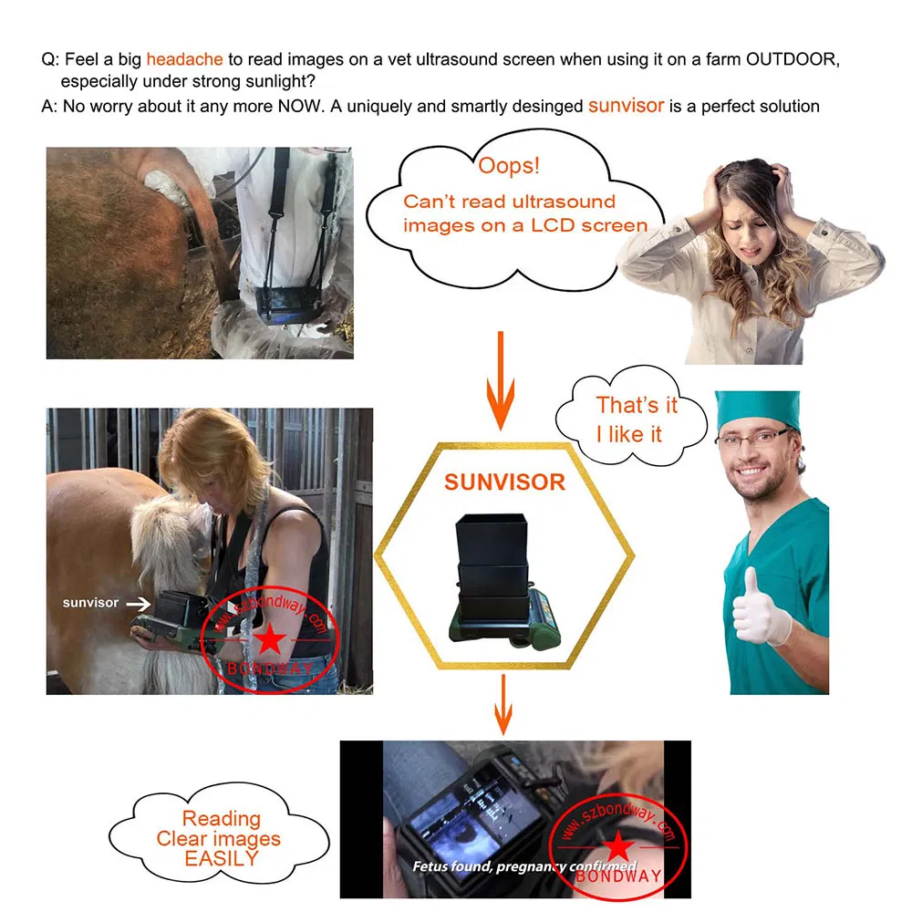 Escáner de reproducción, sistema de ultrasonido veterinario portátil, máquina ultrasonido veterinaria, con batería recargable, para uso al aire libre, fabricado en China, mejor precio