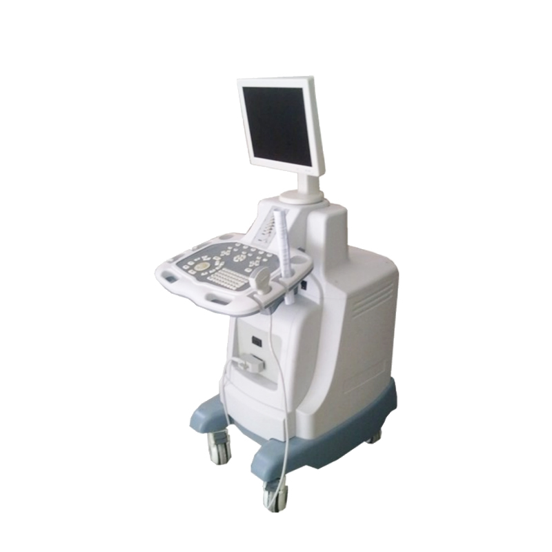 Uss-T30-D Escáner de ultrasonido Doppler color médico de pantalla dual 4D 5D Máquina de obstetricia y ginecología con carro
