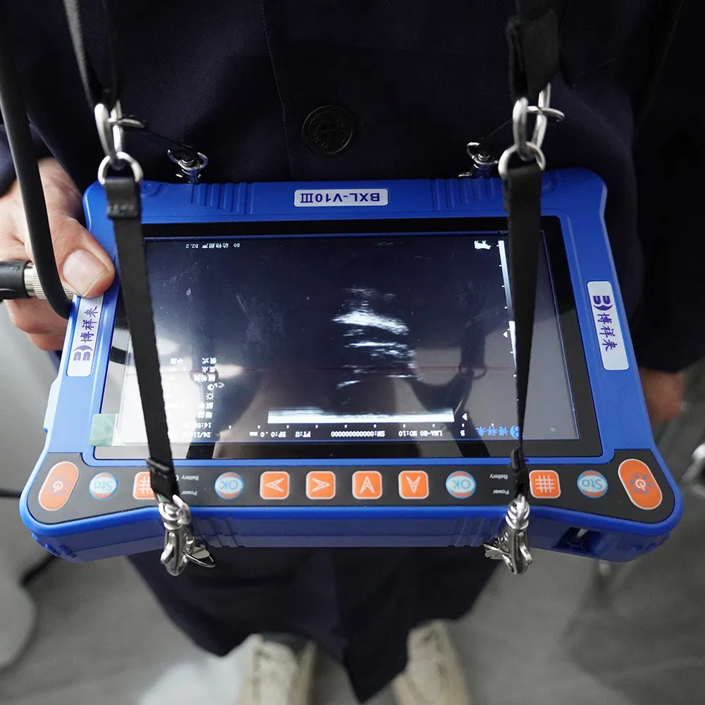 Bxl-V10 III Ganado Máquina de Ultrasonido Veterinario Portátil con HD Multi Sonda
