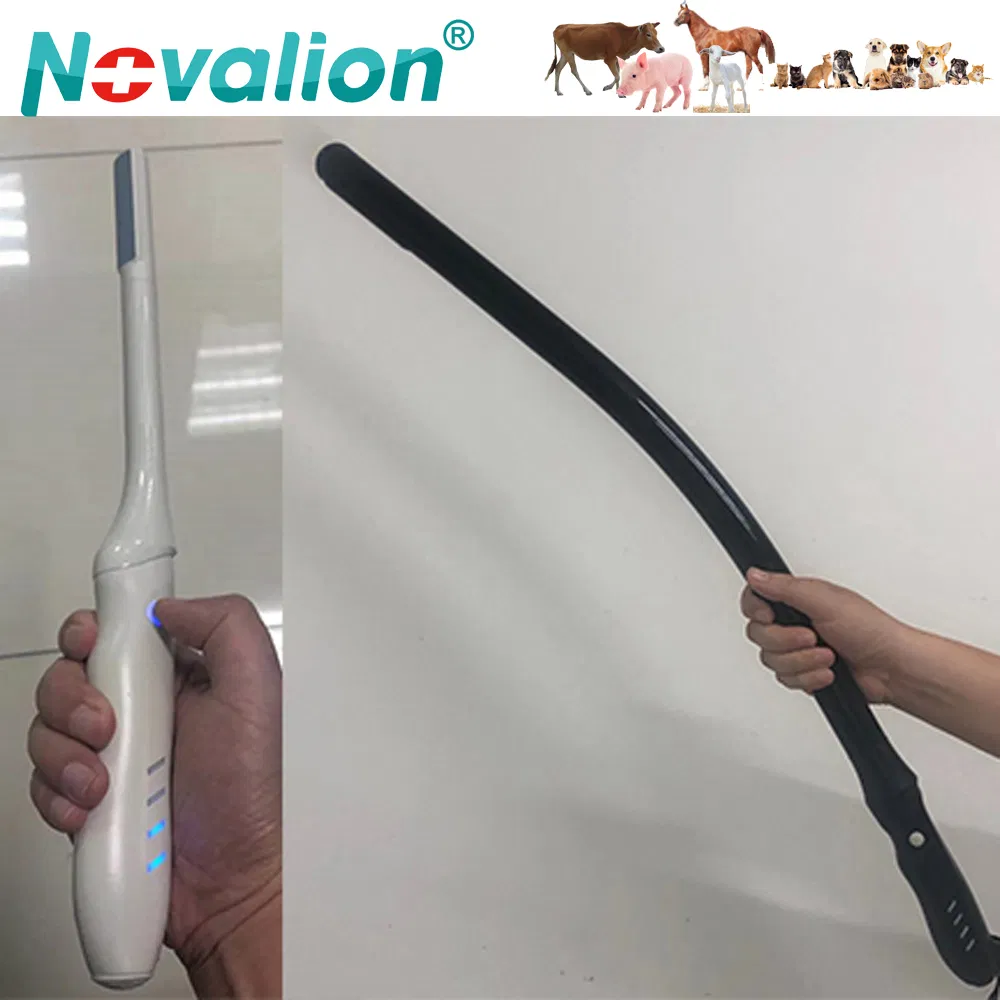 Escáner ultrasónico veterinario inalámbrico de tipo sonda transrectal