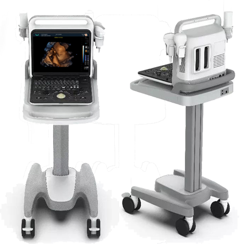 Sistema de Escaneo Ultrasónico Portátil con Doppler Color Digital Completo 3D/4D Máquina de Ecocardiografía