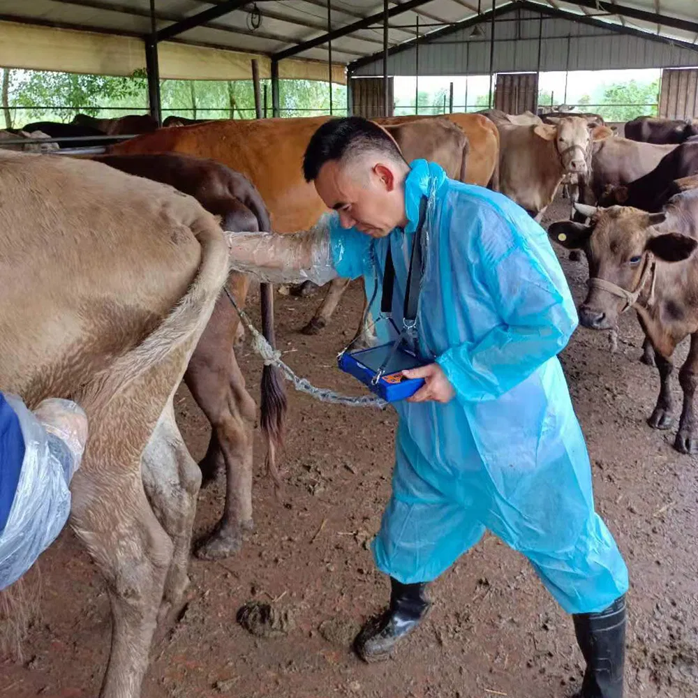 Bxl-V50 Mejor costo de máquina de escáner ultrasónico veterinario portátil para ganado bovino
