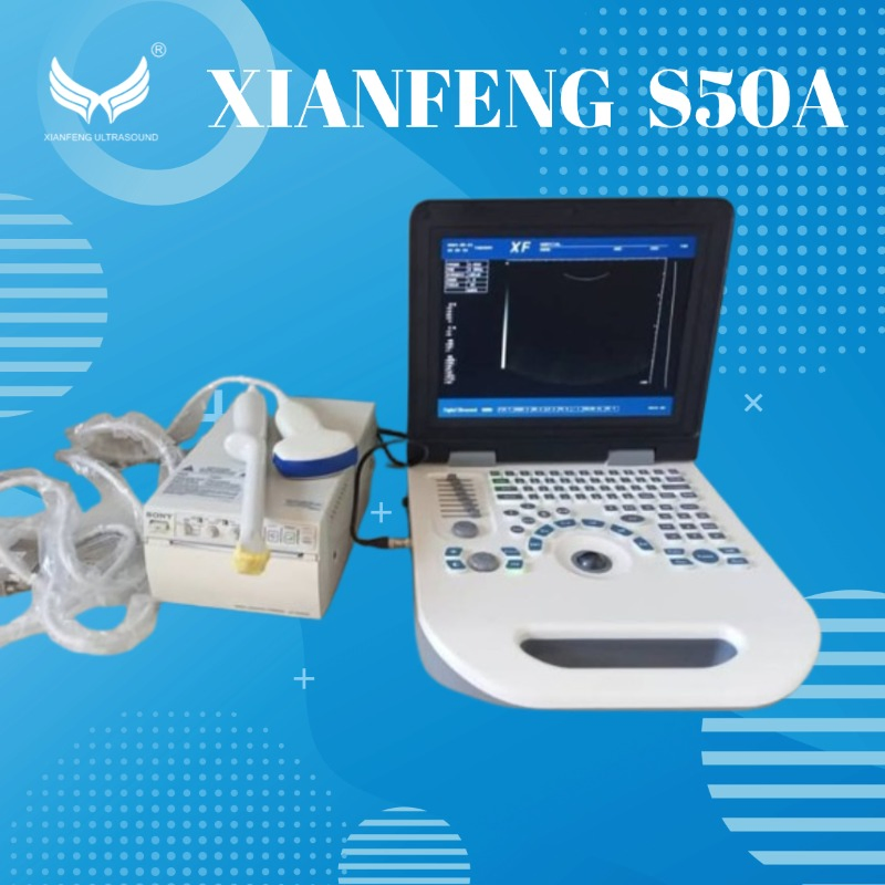 Equipo de diagnóstico médico veterinario digital completo, escáner ultrasónico portátil para laptop